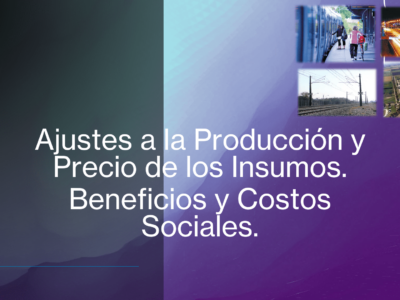 Ajustes a la Producción y Precio de los insumos. Beneficios y Costos Sociales