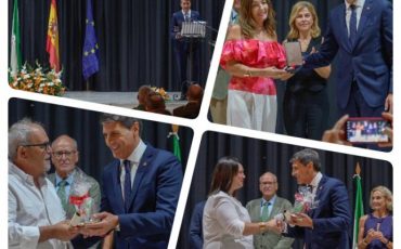 collagemercedacebuche_thumb_650